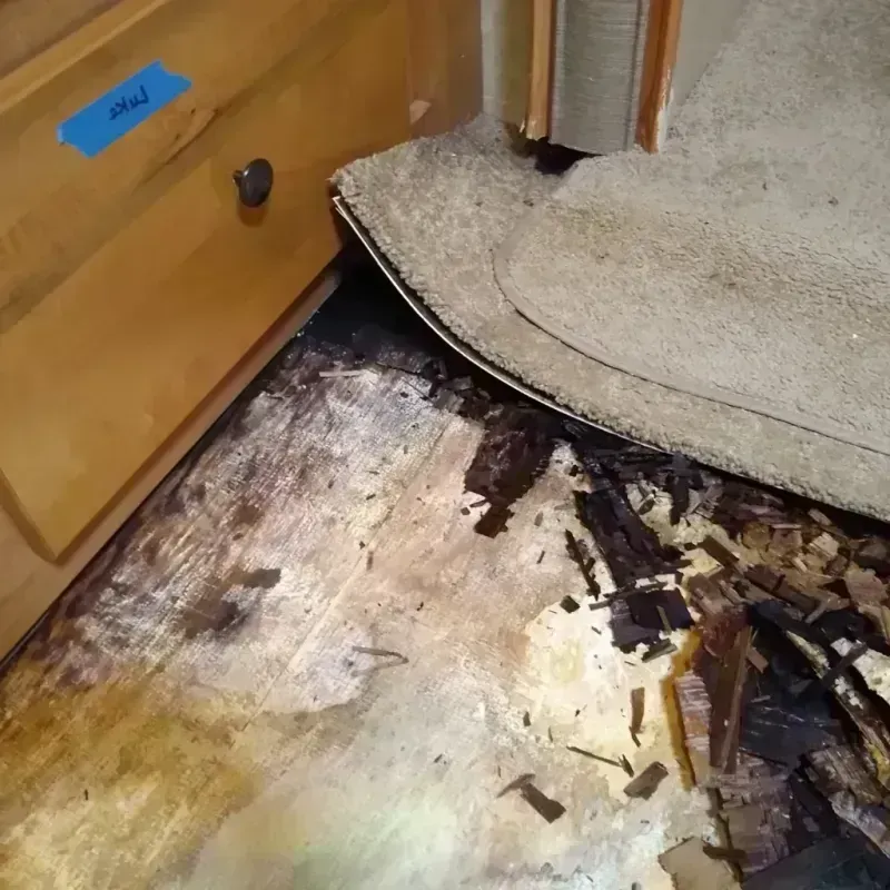 Wood Floor Water Damage in Outagamie County, WI